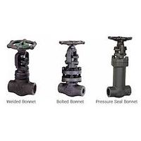 شیر فلکه فولادی مونل